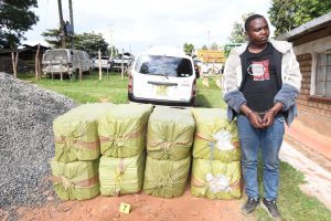 Suspected drug trafficker arrested as detectives seize 1,600 rolls of bhang in Bomet