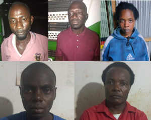 Five Suspects Arrested as Police Seize Large Cannabis Hauls in Mombasa, Kitengela and Busia