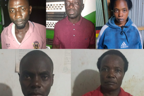 Five Suspects Arrested as Police Seize Large Cannabis Hauls in Mombasa, Kitengela and Busia
