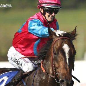 Blake Spriggs net worth, thoroughbred racing and beyond