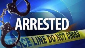 3 suspects arrested in Marsabit as police recover 13 elephant tusks valued at Sh4 million