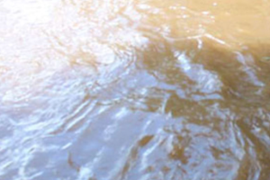 Body of 49-year-old man retrieved from Kipkaren River in Lugari, Kakamega