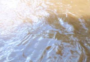 Body of 49-year-old man retrieved from Kipkaren River in Lugari, Kakamega