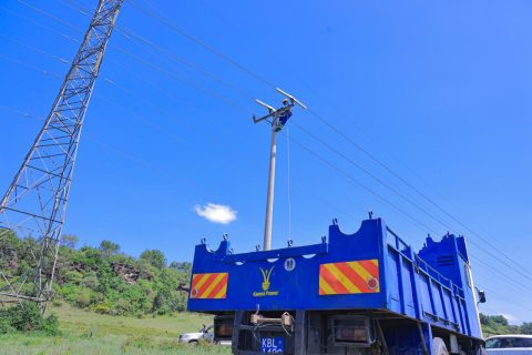 Kenya Power partners with US-based Kaddas enterprises to address wildlife electrocution