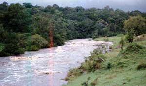 Two-year-old boy drowns while playing near stream in Migori