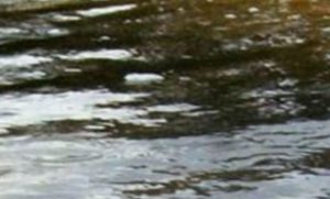 One-year-old boy drowns in water container at Homa Bay home