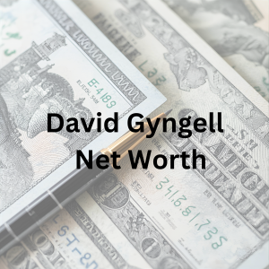 David Gyngell net worth: Media executive leadership and investments