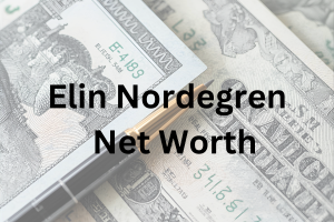 Elin Nordegren net worth 