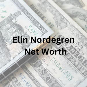 Elin Nordegren net worth 