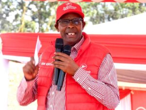 Jubilee urges leaders to protect Kenya’s economy amid political differences