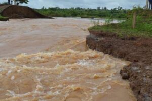 Tragedy as Grade 9 pupil drowns while trying to rescue oxen in Machakos 