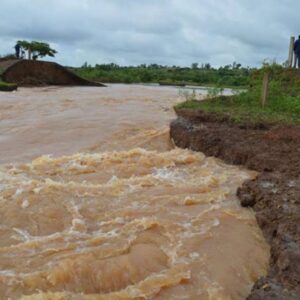 Tragedy as Grade 9 pupil drowns while trying to rescue oxen in Machakos 