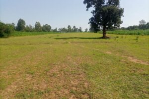 EACC seeks recovery of Sh4.3 billion prisons land grabbed in Kisumu