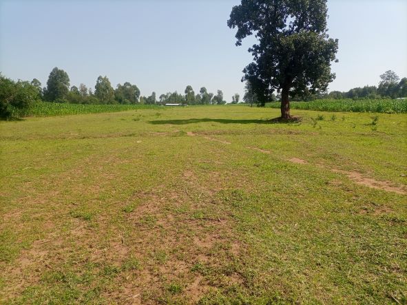 EACC seeks recovery of Sh4.3 billion prisons land grabbed in Kisumu