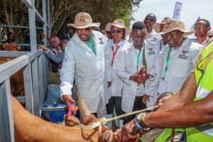 Kagwe warns antimicrobial resistance could lock Kenya out of global meat markets