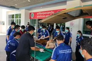 Eight Monks Killed After Pickup Truck Driven by 11-Year-Old Ploughs Into Buddhist Procession in Thailand