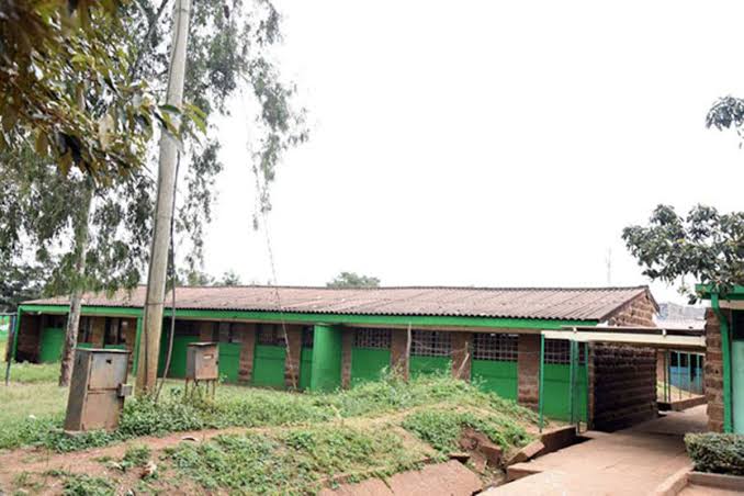 Court of Appeal upholds ruling that Ruaraka School land is public