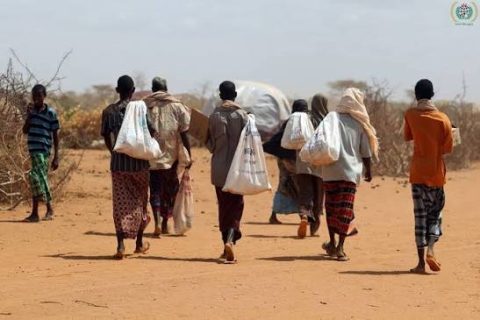 Kenya to host regional forum on decent jobs for refugees and host communities
