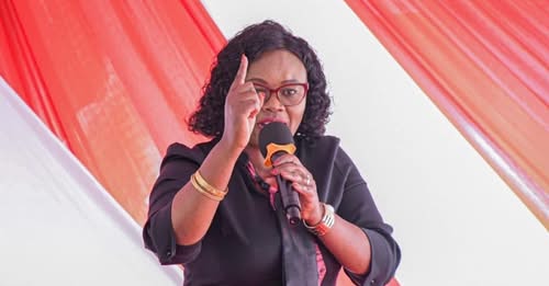 MP Wamuchomba’s threats to Ruto if Duale, MP Wainaina are not arrested