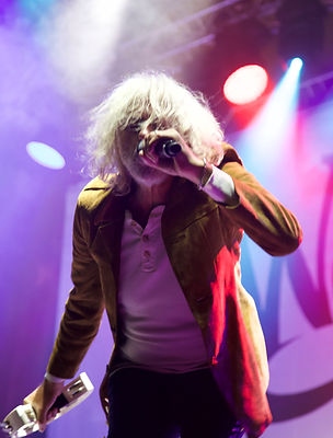 Bob Geldof net worth