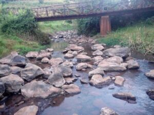 Probe as body of 24-year-old man found dumped in Kisii river