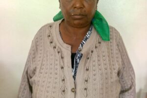 Woman Arrested Over Alleged Fraudulent Transfer of Deceased Estate Land