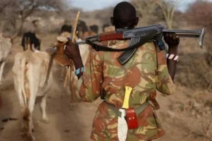 Bandits shoot and kill man in West Pokot attack
