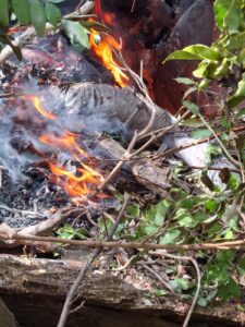 Seven people killed after helicopter crash near Mt Ololokwe, Samburu