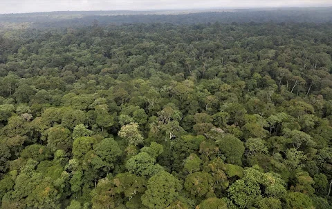 Ruto Announces Sh2.6 Billion Relief for Mau Forest Evictees