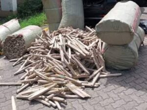 Kilifi court fines two Sh30 million, or 10-year jail sentence each, for trafficking 56kg cannabis.