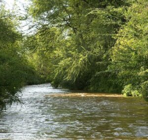 Eight-year-old girl drowns in Urra River in Meru County