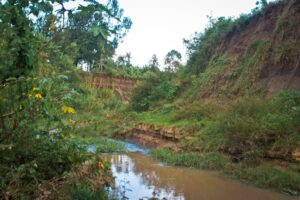 Dismembered human leg found along Iyabe river in Kisii