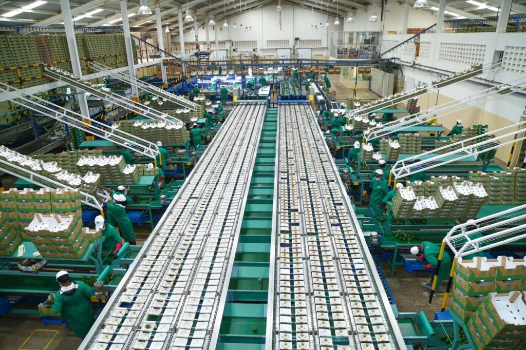 Unionisable Kakuzi employees set for a 15% wage increase as union negotiations successfully close