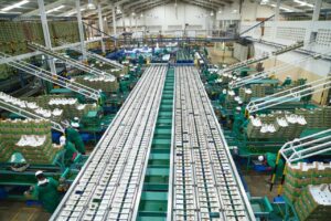 Unionisable Kakuzi employees set for a 15% wage increase as union negotiations successfully close