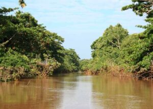 One-year-old girl drowns, student missing after hippo attack on canoe in Tana River