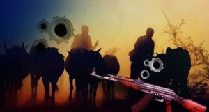 Bandits kill livestock, injure seven animals in Kitui shooting attack