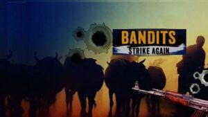 17-year-old killed as suspected bandits ambush firewood collectors in Isiolo