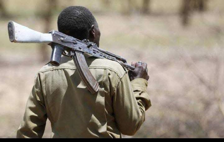 Suspected gunmen repulsed during attempted goat raid in Samburu amid massive operation