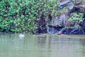 Partially decomposed body of 35-year-old man recovered from quarry in Kericho