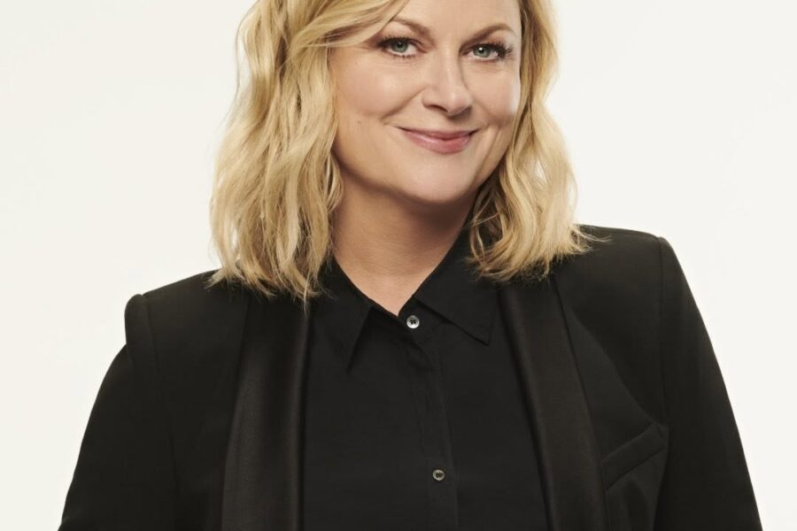 Amy Poehler net worth