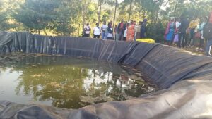 Grade 8 pupil drowns in private dam in Naivasha