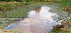 Three-year-old boy drowns in Nandi water pond