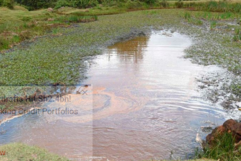 Three-year-old boy drowns in Nandi water pond