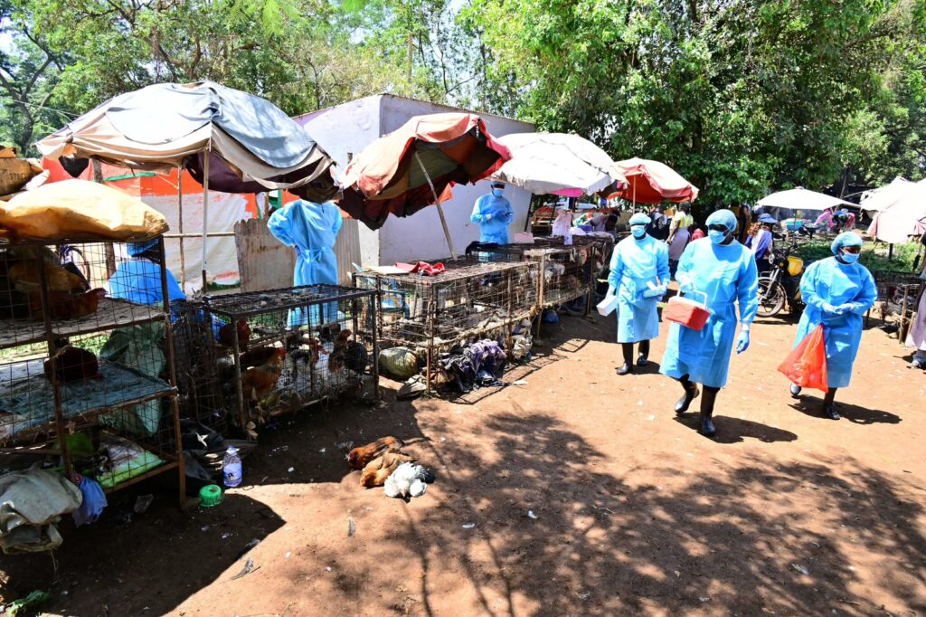 US, Kenya launch new tools to strengthen zoonotic disease prevention