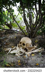 Human skull and bones found in bush in Machakos