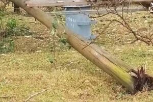 Tragedy as 6-year-old girl dies after rotten electricity pole falls on her in Kakamega