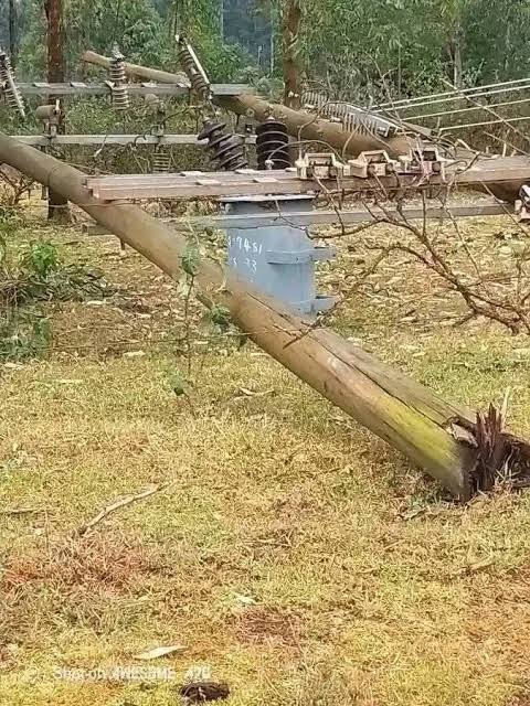 Tragedy as 6-year-old girl dies after rotten electricity pole falls on her in Kakamega