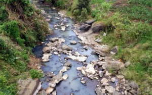 Missing man found dead in river Kamangu, Meru, months after disappearance