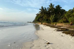 Man found dead at Indian Ocean shore in Mombasa