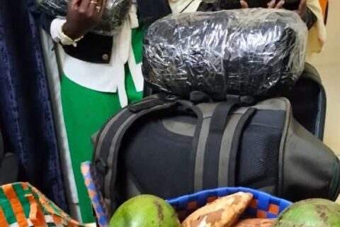 Two Women Arrested with Cannabis Hidden Under Cassava and Avocados in Busia